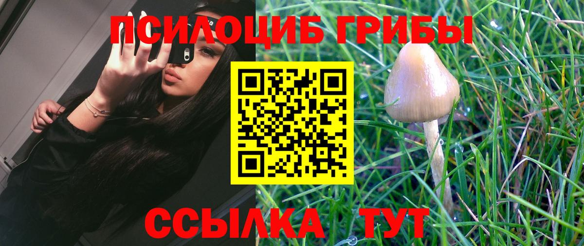 Псилоцибиновые грибы Magic Shrooms Сертолово