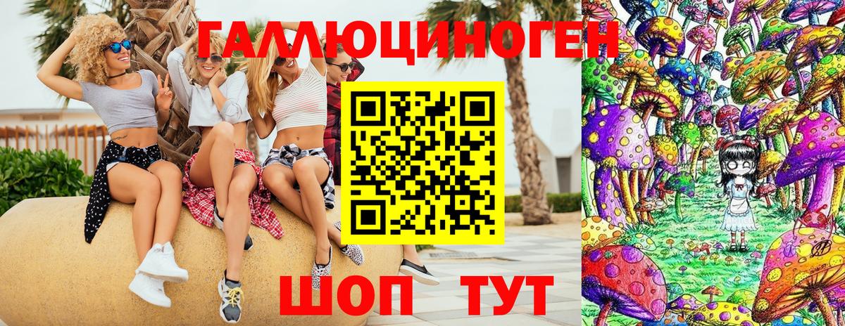 Сертолово  Галлюциногенные грибы Psilocybine cubensis  купить наркотик  Вход с VPN  Псилоцибиновые грибы мицелий 